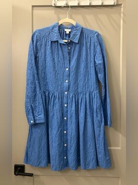 J. Crew Blue Eyelet Button-Front Dress